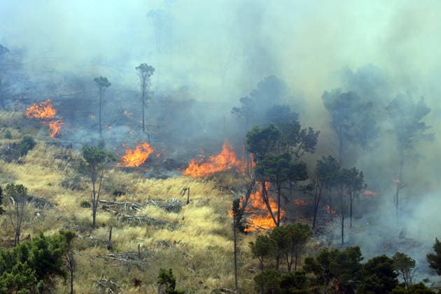 IPA85724785 - MONTAGNA GRANDE IN SALEMI, NEAR TRAPANI, HAS BEEN BURNING FOR THREE DAYS; 1,200 HECTARES OF FOREST HAVE GONE UP IN SMOKE. The photo shows the Montagna Grande forest destroyed by the flames; more than 1,200 hectares have gone up in smoke.  Copyright: xAlbertoxLoxBiancox xAlbertoxLoxBianco Fotogrammax 85724785