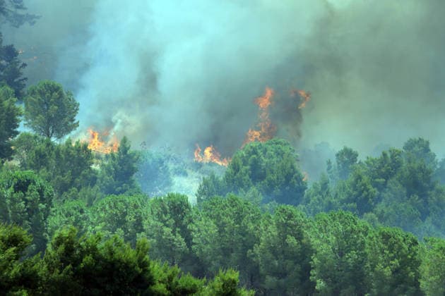 IPA85724797 - MONTAGNA GRANDE IN SALEMI, NEAR TRAPANI, HAS BEEN BURNING FOR THREE DAYS; 1,200 HECTARES OF FOREST HAVE GONE UP IN SMOKE. The photo shows the Montagna Grande forest destroyed by the flames; more than 1,200 hectares have gone up in smoke.  Copyright: xAlbertoxLoxBiancox xAlbertoxLoxBianco Fotogrammax 85724797