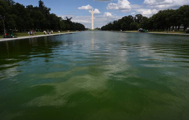 Newly-Renovated Lincoln Memorial Reflecting Pool Turns Green With Algae The water in the Lincoln Memorial Reflecting Pool has turned green as algae has begun to bloom following the completion of recent renovations on June 15, 2026 in Washington, DC. Photo by Olivier Douliery ABACAPRESS.COM Washington DC United States  Copyright: xDoulieryxOlivier ABACAx