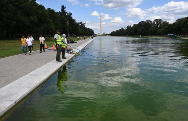 Newly-Renovated Lincoln Memorial Reflecting Pool Turns Green With Algae National Park Service employees work to clean up algae in the Lincoln Memorial Reflecting Pool following the completion of recent renovations on June 15, 2026 in Washington, DC. Photo by Olivier Douliery ABACAPRESS.COM Washington DC United States  Copyright: xDoulieryxOlivier ABACAx