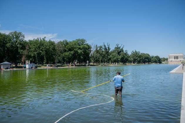 June 16, 2026, Washington, District Of Columbia, United States: A worker uses a vacuum system to remove green algae from the Lincoln Memorial Reflecting Pool in Washington, D.C. The algae appeared shortly after the historic pool was refilled following a major rehabilitation project as maintenance and cleanup efforts continue. Washington United States - ZUMAk206 20260616_znp_k206_006 Copyright: xMattxKaminskyx