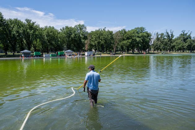 June 16, 2026, Washington, District Of Columbia, United States: A worker uses a vacuum system to remove green algae from the Lincoln Memorial Reflecting Pool in Washington, D.C. The algae appeared shortly after the historic pool was refilled following a major rehabilitation project as maintenance and cleanup efforts continue. Washington United States  - ZUMAk206 20260616_znp_k206_010 Copyright: xMattxKaminskyx
