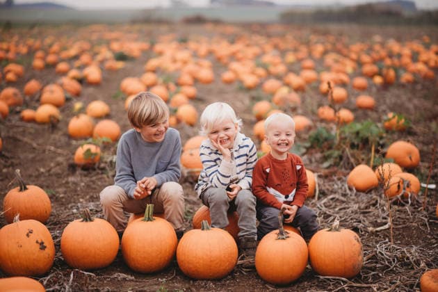 Beautiful children brothers laughing at pumpkin farm during Fall Morton, Illinois, United States CR_TANI260616-2046948-01 ,model released, Symbolfoto