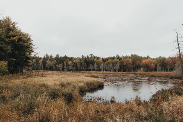 Long Pond, Mt Desert Island Maine, Acadia National Park Mount Desert, Maine, United States R_XPQF260615-2052216-01