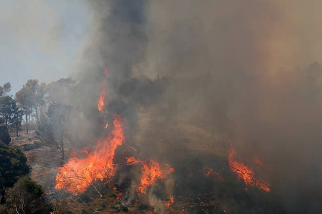 Wildfire continues to burn in Sicily s Trapani region as aerial response intensifies TRAPANI, ITALY - JUNE 17: Firefighting aircraft and helicopters operate to extinguish a wildfire that broke out in a maquis area near the Grande Montagna location in Trapani, on the west of Italy s Sicily Island, on June 17, 2026. The wildfire, which started yesterday afternoon, continues to spread despite ongoing aerial and ground efforts. Alberto Lo Bianco Anadolu Trapani Italy. Editorial use only. Please get in touch for any other usage.  Copyright: x2026xAnadoluxAlbertoxLoxBiancox