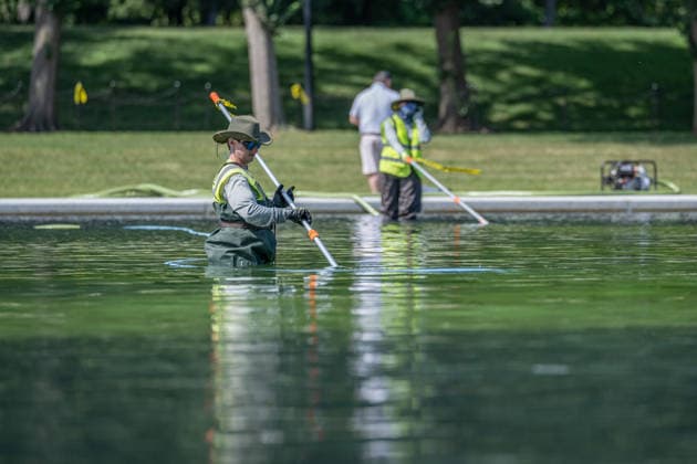 June 17, 2026, Washington, District Of Columbia, United States: Members of the National Park Service continue removing residual algae from the Lincoln Memorial Reflecting Pool on the National Mall in Washington, D.C. Officials said the algae bloom resulted from residual algae left in the system during the restart of pool operations following recent renovations, and crews have made significant progress restoring water quality. Washington United States - ZUMAk206 20260617_znp_k206_007 Copyright: xMattxKaminskyx