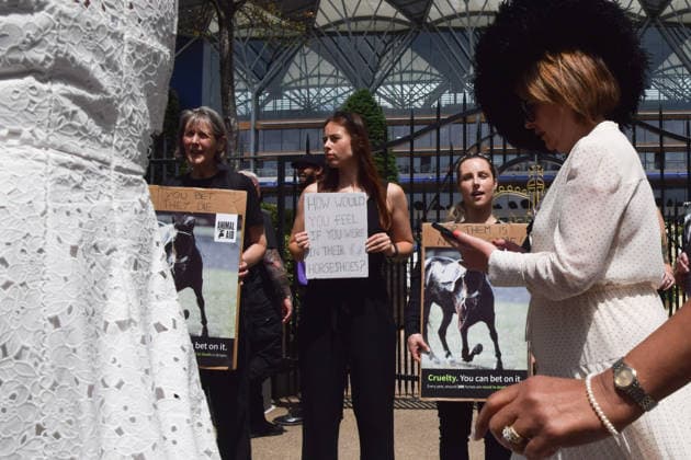 News Bilder des Tages June 18, 2026, Ascot, England, United Kingdom: Attendees walk past animal rights activists from the group Animal Aid staging a protest outside Ascot Racecourse during Royal Ascot 2026, calling for an end to horse racing. Campaigners say that over 200 racehorses die each year in the UK. Ascot United Kingdom  - ZUMAv130 20260618_zip_v130_002 Copyright: xVukxValcicx