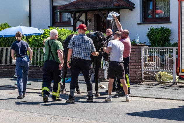 Pferd in Kellerabgang gestürzt Feuerwehr muss Geländer demontieren Kran rettet Tier nach Sedierung Klinik unterstützt vor Ort Am 18.06.2026 wurde in Klein-Auheim ein Pferd aus einem Kellerabgang eines Einfamilienhauses gerettet. Das Tier war zuvor aus einer Koppel entlaufen und über Wiesen sowie in Nachbargärten geraten. Dabei wurden Zäune, eine Mauer, eine Tür und Gartenelemente beschädigt. Die Feuerwehr setzte zur Rettung ein Kranfahrzeug ein, nachdem das Pferd sediert worden war. Ärztinnen einer Pferdeklinik aus Großostheim unterstützten den Einsatz vor Ort. Hanau Kleinauheim Hessen Deutschland *** Horse Falls into Basement Stairwell; Fire Department Must Dismantle Railing; Crane Rescues Animal After Sedation; Clin