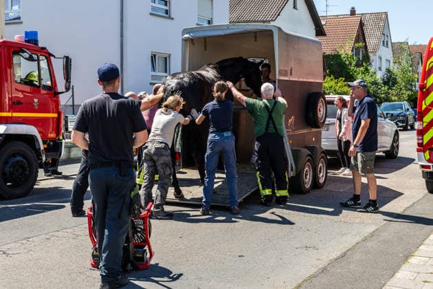 Pferd in Kellerabgang gestürzt Feuerwehr muss Geländer demontieren Kran rettet Tier nach Sedierung Klinik unterstützt vor Ort Am 18.06.2026 wurde in Klein-Auheim ein Pferd aus einem Kellerabgang eines Einfamilienhauses gerettet. Das Tier war zuvor aus einer Koppel entlaufen und über Wiesen sowie in Nachbargärten geraten. Dabei wurden Zäune, eine Mauer, eine Tür und Gartenelemente beschädigt. Die Feuerwehr setzte zur Rettung ein Kranfahrzeug ein, nachdem das Pferd sediert worden war. Ärztinnen einer Pferdeklinik aus Großostheim unterstützten den Einsatz vor Ort. Hanau Kleinauheim Hessen Deutschland *** Horse Falls into Basement Stairwell; Fire Department Must Dismantle Railing; Crane Rescues Animal After Sedation; Clin