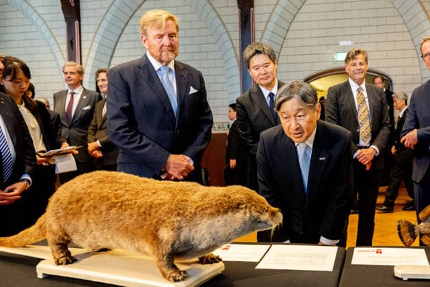 Entertainment Bilder des Tages 18-06-2026 Statevisit King Willem-Alexander with Emperor Naruhito of Japan visited the temporary exhibition of objects from various Leiden Japan collections and the ˜Sweat Room™ and the botanical garden at the university of Leiden on the 2nd day of the 3 day statevisit to the Netherlands Â  Copyright: xPPEx