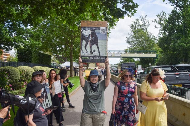June 18, 2026, Ascot, England, United Kingdom: Attendees walk past animal rights activists from the group Animal Aid staging a protest outside Ascot Racecourse during Royal Ascot 2026, calling for an end to horse racing. Campaigners say that around 200 racehorses die each year in the UK. Ascot United Kingdom  - ZUMAv130 20260618_zip_v130_028 Copyright: xVukxValcicx