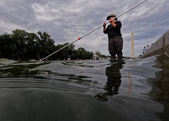 June 18, 2026, Washington, District Of Columbia, USA: National Park Service employees remove green algae from the bottom of the Lincoln Memorial Reflecting Pool in Washington, DC, USA, on June 18, 2026. The NPS is working to control and remove the algae bloom that has turned the pool green following the Trump Administration s recent 4 million repair, resealing, and painting project. Washington USA - ZUMAs337 20260618_znp_s337_003 Copyright: xGentxShkullakux