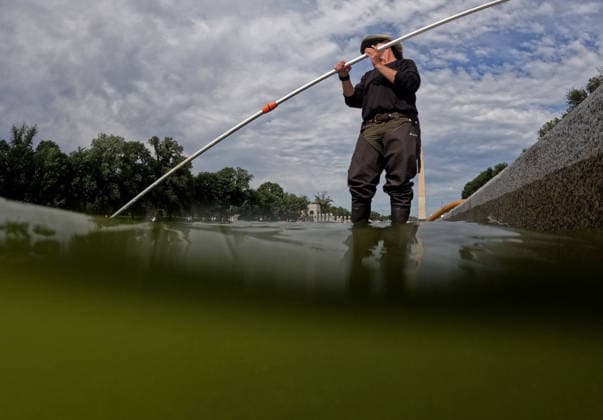 June 18, 2026, Washington, District Of Columbia, USA: National Park Service employees remove green algae from the bottom of the Lincoln Memorial Reflecting Pool in Washington, DC, USA, on June 18, 2026. The NPS is working to control and remove the algae bloom that has turned the pool green following the Trump Administration s recent 4 million repair, resealing, and painting project. Washington USA - ZUMAs337 20260618_znp_s337_007 Copyright: xGentxShkullakux