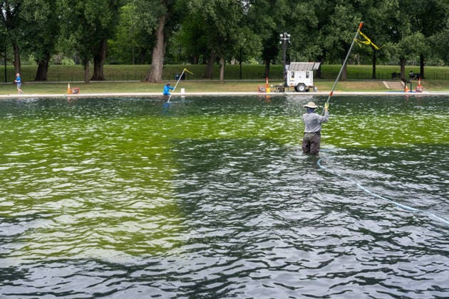 June 18, 2026, Washington, District of Columbia, USA: National Park Service employs work to remove algae from the Lincoln Memorial s reflecting pool. Washington USA  - ZUMAl312 20260616_znp_l312_045 Copyright: xAndrewxLeydenx