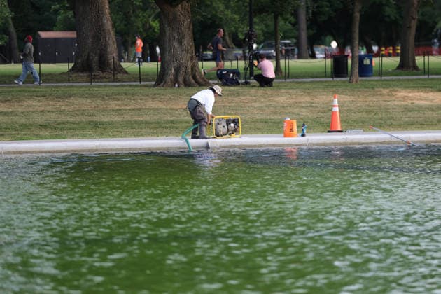 WASHINGTON, D.C. - JUNE 18: View of the Lincoln Memorial Reflecting Pool as algae has bloomed in the pool after the $14 Million Dollar renovation on June 18, 2026 in Washington D.C. Copyright: xmpi34x