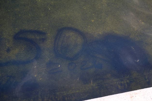 WASHINGTON, D.C. - JUNE 18: View of the Lincoln Memorial Reflecting Pool as algae has bloomed in the pool after the $14 Million Dollar renovation on June 18, 2026 in Washington D.C. Copyright: xmpi34x