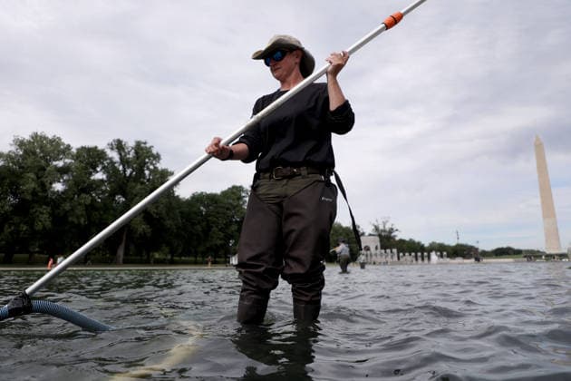 Workers remove algae from the Lincoln Memorial Reflecting Pool in Washington DC, USA. National Park Service (NPS) employees remove green algae from the bottom of the Lincoln Memorial Reflecting Pool in Washington, DC, USA, on June 18, 2026. The NPS is working to control and remove the algae bloom that has turned the pool green following the Trump Administration s recent $14 million repair, resealing, and painting project. Washington USA  Copyright: xMatrixxImagesx xGentxShkullakux