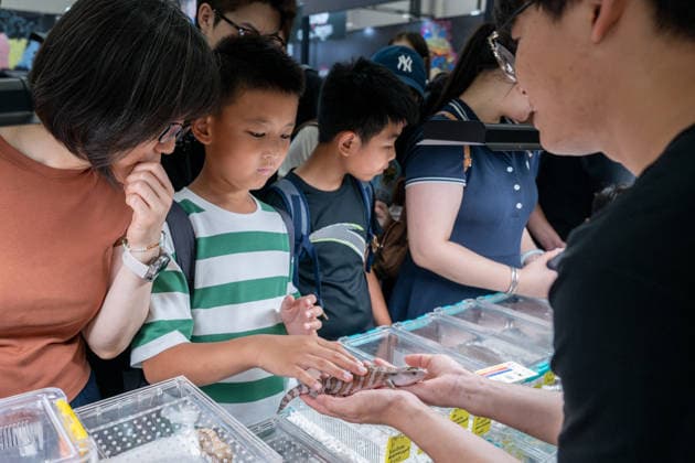 (260619) -- BEIJING, June 19, 2026 -- People visit the 2026 Beijing World Reptiles Expo in Pinggu District, Beijing, capital of China, June 19, 2026. The event takes place here from June 19 to 21. ) CHINA-BEIJING-WORLD REPTILES EXPO (CN) HuxJingwen 