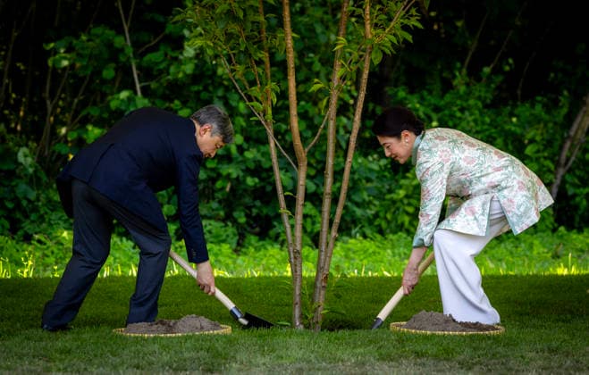 19-06-2026 Amsterdam Emperor Naruhito of Japan and Empress Masako planting a cherry tree in the Blossom Park in the Amsterdam Forest on the 3rd and last day of the 3 day statevisit to the Netherlands. Â  Copyright: xPPEx