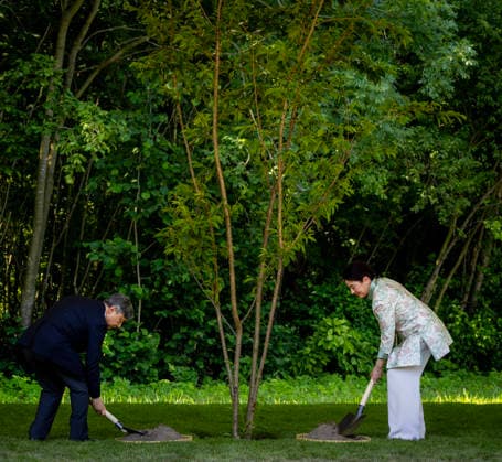 19-06-2026 Amsterdam Emperor Naruhito of Japan and Empress Masako planting a cherry tree in the Blossom Park in the Amsterdam Forest on the 3rd and last day of the 3 day statevisit to the Netherlands. Â  Copyright: xPPEx