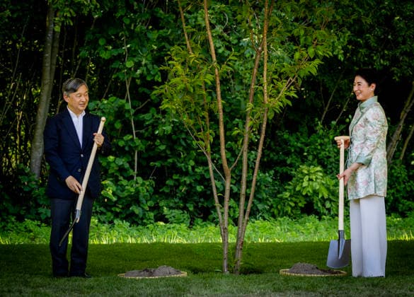 19-06-2026 Amsterdam Emperor Naruhito of Japan and Empress Masako planting a cherry tree in the Blossom Park in the Amsterdam Forest on the 3rd and last day of the 3 day statevisit to the Netherlands. Â  Copyright: xPPEx