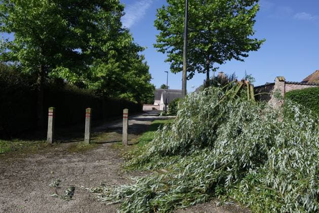 The historical Huisekouter mill in Huise, Kruisem, is blown away during last nights thunderstorm, Saturday 20 June 2026. Like many European countries, Belgium is experiencing an unusually hot spell for this time of year. The Belgian Royal Meteorological Institute (KMI) issued a code orange warning for heat and severe thunderstorms.  NICOLASxMAETERLINCK 178436221