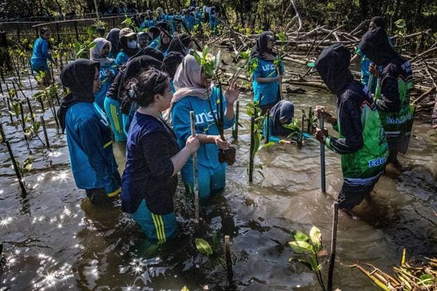 Aisyiyah University (UNISA) Yogyakarta Undertakes Mangrove Tree Planting Initiative BANTUL, INDONESIA JUNE 20, 2026: Over 500 students from Aisyiyah University in Yogyakarta joined forces to plant 1,500 mangrove seedlings along the Baros Hamlet coastline in Tirtohargo Village, Kapanewon Kretek, Bantul, Yogyakarta on Saturday afternoon, June 20, 2026. This activity forms part of the Green Fiqh program, a requirement for students enrolled in the Al-Islam and Muhammadiyah courses across three even-semester majors. Green Fiqh is rooted in an Islamic perspective that regards environmental stewardship as a fundamental religious obligation. Through these courses, UNISA Yogyakarta integrates Green Fiqh as a contemporary approach to inspire stud Copyright: x xEkoxSusantox xJNAxPressx