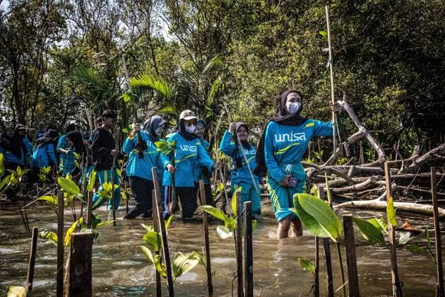Aisyiyah University (UNISA) Yogyakarta Undertakes Mangrove Tree Planting Initiative BANTUL, INDONESIA JUNE 20, 2026: Over 500 students from Aisyiyah University in Yogyakarta joined forces to plant 1,500 mangrove seedlings along the Baros Hamlet coastline in Tirtohargo Village, Kapanewon Kretek, Bantul, Yogyakarta on Saturday afternoon, June 20, 2026. This activity forms part of the Green Fiqh program, a requirement for students enrolled in the Al-Islam and Muhammadiyah courses across three even-semester majors. Green Fiqh is rooted in an Islamic perspective that regards environmental stewardship as a fundamental religious obligation. Through these courses, UNISA Yogyakarta integrates Green Fiqh as a contemporary approach to inspire stud Copyright: x xEkoxSusantox xJNAxPressx