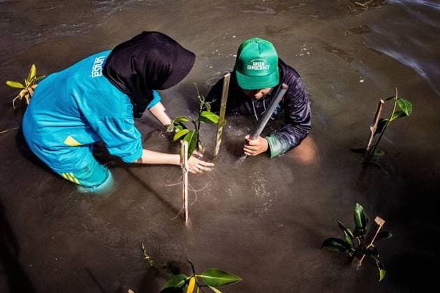 Aisyiyah University (UNISA) Yogyakarta Undertakes Mangrove Tree Planting Initiative BANTUL, INDONESIA JUNE 20, 2026: Over 500 students from Aisyiyah University in Yogyakarta joined forces to plant 1,500 mangrove seedlings along the Baros Hamlet coastline in Tirtohargo Village, Kapanewon Kretek, Bantul, Yogyakarta on Saturday afternoon, June 20, 2026. This activity forms part of the Green Fiqh program, a requirement for students enrolled in the Al-Islam and Muhammadiyah courses across three even-semester majors. Green Fiqh is rooted in an Islamic perspective that regards environmental stewardship as a fundamental religious obligation. Through these courses, UNISA Yogyakarta integrates Green Fiqh as a contemporary approach to inspire stud Copyright: x xEkoxSusantox xJNAxPressx