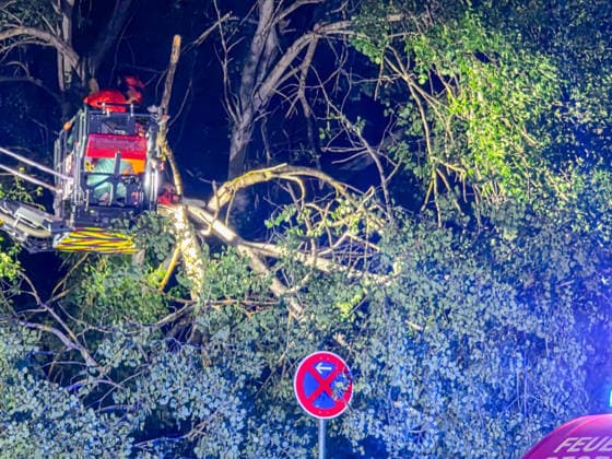 Heftiges Gewitter zieht über den Südwesten: Blitze zucken im Sekundentakt über Karlsruhe und erhellen den Nachthimmel - zahlreiche Blitzeinschläge waren zu verzeichnen - in Pforzheim muss die Feuerwehr zu einem Sturmschaden ausrücken Eine markante Gewitterfront zog in der Nacht auf Samstag über den Südwesten hinweg. In einem Streifen zwischen Rastatt, über Karlsruhe und Pforzheim, sorgte kräftiges Gewitter mit Starkregen und Sturmböen für Abkühlung. Besonders beeindruckend war dabei das intensive Gewitter. Zahlreiche spektakuläre Blitzeinschläge, gefolgt von heftigem Donnergrollen waren die Folge. Teilweise zuckten die Blitze im Sekundentakt am Nachthimmel. In Pforzheim knickte durch den Sturm ein Ast eines Baumes am Sonnenhof Copyright: xFabianxGeierx xEinsatzReport24x