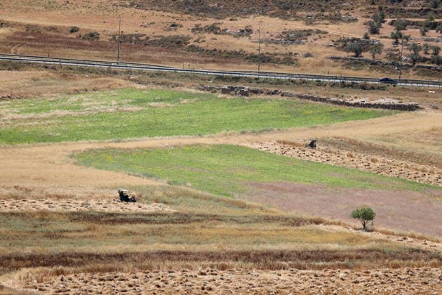 Wheat harvest in the West Bank RAMALLAH, WEST BANK, PALESTINE - JUNE 20: Palestinian farmers harvest wheat in the town of Sinjil, despite Israeli attacks on Palestinian-owned lands, in Ramallah, West Bank, Palestine on June 20, 2026. Farmers continue collecting their wheat crops from agricultural fields amid ongoing tensions in the area. Issam Rimawi Anadolu Ramallah West Bank. Editorial use only. Please get in touch for any other usage.  Copyright: x2026xAnadoluxIssamxRimawix