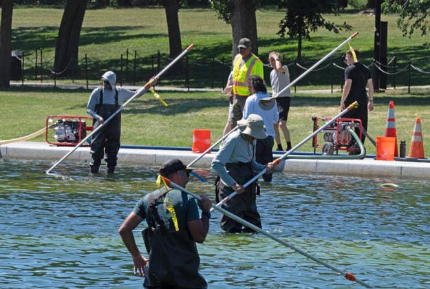 National Park Service workers use vacuum pumps to clean algae off the bottom of the newly renovated Lincoln Memorial Reflecting Pool on the National Mall in Washington, DC on Saturday, June 20,2026. The Trump Administration awarded no-bid contracts totaling nearly $15 million to renovated Reflecting Pool but it is now filled with algae and the paint is peeling. Dozens of National Guard and other police stop people from taking the blue paint chips floating in the water, with some arrests.  WAP2026062007 PATxBENIC