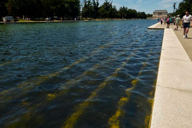 June 20, 2026, Washington Dc, Washington Dc, USA: National Park Service workers attempt to clean rapid algae growth from the Reflecting Pool on the National Mall in Washington D.C. ahead of the Freedom 250 and July 4th celebrations. June 20, 2026 Washington Dc USA - ZUMAg216 20260620_znp_g216_003 Copyright: xDominicxGwinnx