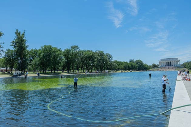 June 20, 2026, Washington, District Of Columbia, United States: Workers remove algae from the Lincoln Memorial Reflecting Pool in Washington, D.C., as crews continue maintenance and water quality efforts at the iconic National Mall landmark. Washington United States - ZUMAk206 20260620_znp_k206_001 Copyright: xMattxKaminskyx