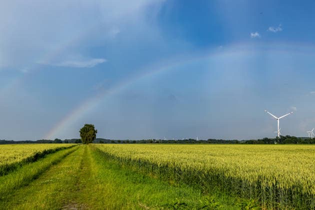 Regenbogen am 20.06.2026 in Ense Am 20.06.2026 zeigte sich über Ense ein außergewöhnlicher Regenbogen mit deutlich erkennbaren zusätzlichen Farbbändern. Die feinen Strukturen entlang des Hauptbogens entstanden durch die Wechselwirkung von Sonnenlicht und unterschiedlich großen Regentropfen und verliehen dem Himmelsphänomen ein besonders seltenes Erscheinungsbild. Die Aufnahmen dokumentieren einen eindrucksvollen atmosphärischen Moment, der weit über einen gewöhnlichen Regenbogen hinausging. Es scheint eine Mischung aus Interferenzbogen und gespaltenem Regenbogen zu sein *** Rainbow on June 20, 2026, in Ense On June 20, 2026, an extraordinary rainbow appeared over Ense, featuring clearly visible additional color bands. The delicate Copyright: xx xChantalxAndersx
