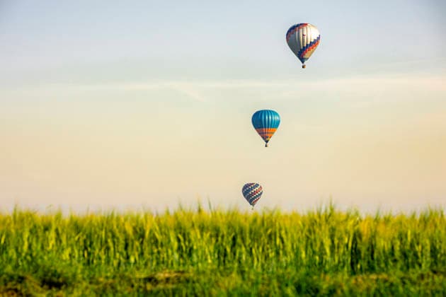 Meeting of pilots and owners of hot air balloons, on June 21, 2026, in Katusice, near Bela pod Bezdezem, Czech Republic. (CTKxPhoto RadekxPetrasek) CTKPhotoP2026062102316  CTKPhotoP2026062102316