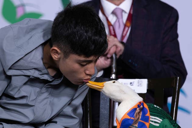 June 22, 2026, Mexico City, Mexico: Mexican President Claudia Sheinbaum Pardo held her daily morning press conference at the National Palace alongside Merlin, the duck that became a viral sensation during the 2026 FIFA World Cup, as well as its caretaker Karla Gomez and her sons, Christian and Carlos. Mexico City Mexico - ZUMAl178 20260622_znp_l178_005 Copyright: xCristianxLeyvax