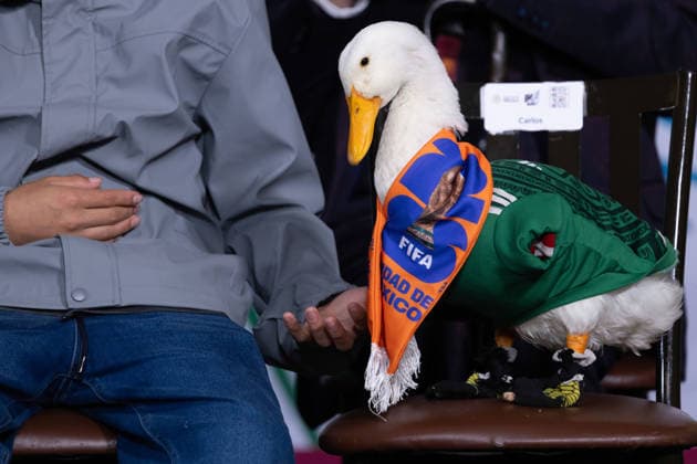 June 22, 2026, Mexico City, Mexico: Mexican President Claudia Sheinbaum Pardo held her daily morning press conference at the National Palace alongside Merlin, the duck that became a viral sensation during the 2026 FIFA World Cup, as well as its caretaker Karla Gomez and her sons, Christian and Carlos. Mexico City Mexico - ZUMAl178 20260622_znp_l178_010 Copyright: xCristianxLeyvax