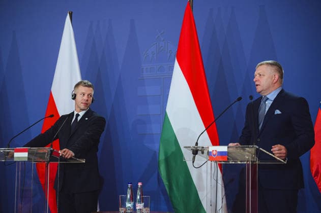 Visegrad Group (V4) summit in Hungary GODOLLO, HUNGARY - JUNE 23: Hungarian Prime Minister Peter Magyar attends Visegrad Group (V4) summit at the Royal Palace of Godollo in Godollo, Hungary, on 23 June 2026. The leaders discussed regional cooperation, European affairs, security, energy policy and current geopolitical challenges during the first V4 prime ministers’ summit in several years. Robert Nemeti Anadolu Godollo Hungary. Editorial use only. Please get in touch for any other usage.  Copyright: x2026xAnadoluxRobertxNemetix