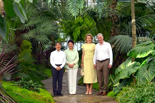State Visit of the Emperor and the Empress of Japan to Belgium BRUSSELS, BELGIUM - JUNE 25 : Emperor Naruhito of Japan, Empress Masako of Japan, Queen Mathilde of Belgium and King Philippe - Filip of Belgium pictured during the visit of the Royal Greenhouses during the state visit of the Emperor and Empress of Japan to Belgium, on June 25, 2026 in Brussels, Belgium, 25 06 2026 Brussels Belgium  Copyright: xPhilipxReynaersx