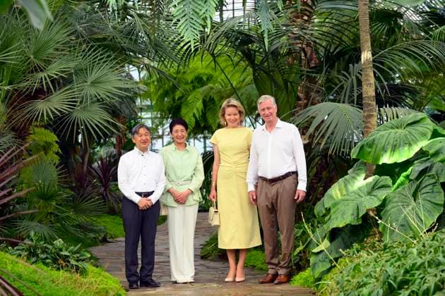 State Visit of the Emperor and the Empress of Japan to Belgium BRUSSELS, BELGIUM - JUNE 25 : Emperor Naruhito of Japan, Empress Masako of Japan, Queen Mathilde of Belgium and King Philippe - Filip of Belgium pictured during the visit of the Royal Greenhouses during the state visit of the Emperor and Empress of Japan to Belgium, on June 25, 2026 in Brussels, Belgium, 25 06 2026 Brussels Belgium  Copyright: xPhilipxReynaersx