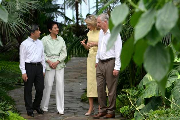 State Visit of the Emperor and the Empress of Japan to Belgium BRUSSELS, BELGIUM - JUNE 25 : Emperor Naruhito of Japan, Empress Masako of Japan, Queen Mathilde of Belgium and King Philippe - Filip of Belgium pictured during the visit of the Royal Greenhouses during the state visit of the Emperor and Empress of Japan to Belgium, on June 25, 2026 in Brussels, Belgium, 25 06 2026 Brussels Belgium  Copyright: xBertxVanxDenxBrouckex