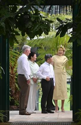 State Visit of the Emperor and the Empress of Japan to Belgium BRUSSELS, BELGIUM - JUNE 25 : King Philippe - Filip of Belgium, Queen Mathilde of Belgium, Emperor Naruhito of Japan and Empress Masako of Japan pictured during a wallk in the greenhouses at the Castle of Laeken during the state visit of the Emperor and Empress of Japan to Belgium, on June 25, 2026 in Brussels, Belgium, 25 06 2026 Brussels Belgium  Copyright: xBertxVanxDenxBrouckex