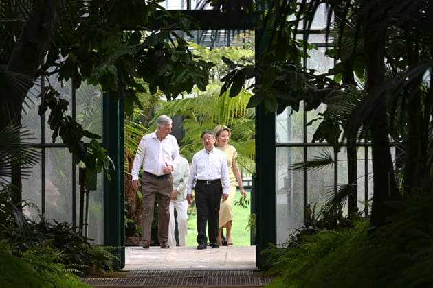 State Visit of the Emperor and the Empress of Japan to Belgium BRUSSELS, BELGIUM - JUNE 25 : King Philippe - Filip of Belgium, Queen Mathilde of Belgium, Emperor Naruhito of Japan and Empress Masako of Japan pictured during a wallk in the greenhouses at the Castle of Laeken during the state visit of the Emperor and Empress of Japan to Belgium, on June 25, 2026 in Brussels, Belgium, 25 06 2026 Brussels Belgium  Copyright: xBertxVanxDenxBrouckex