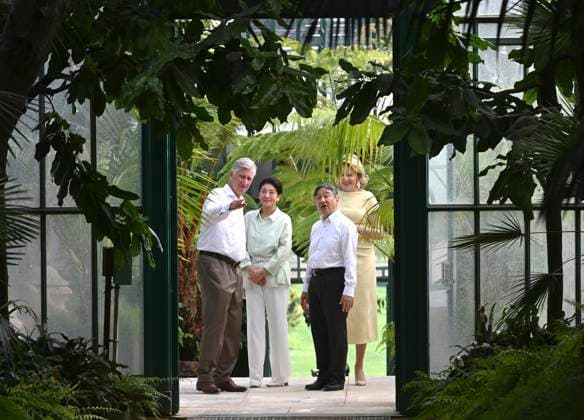 State Visit of the Emperor and the Empress of Japan to Belgium BRUSSELS, BELGIUM - JUNE 25 : King Philippe - Filip of Belgium, Queen Mathilde of Belgium, Emperor Naruhito of Japan and Empress Masako of Japan pictured during a wallk in the greenhouses at the Castle of Laeken during the state visit of the Emperor and Empress of Japan to Belgium, on June 25, 2026 in Brussels, Belgium, 25 06 2026 Brussels Belgium  Copyright: xBertxVanxDenxBrouckex
