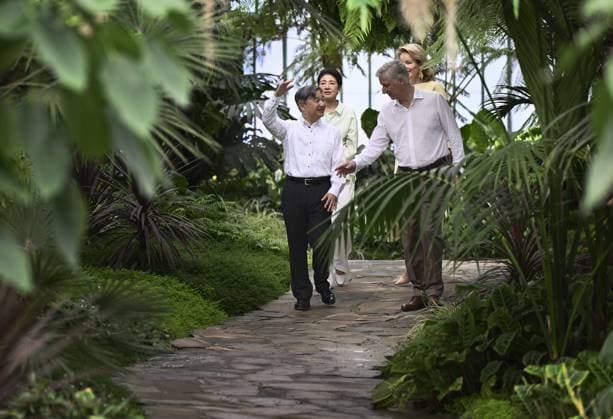 Japanese Emperor Naruhito, Japanese Empress Masako, Queen Mathilde of Belgium and King Philippe - Filip of Belgium pictured during a visit to the Royal Greenhouses and the Japanese Tower in Laken - Laeken, Brussels, during an official state visit of the Japanese Emperor and Empress to Belgium, on Thursday 25 June 2026. The Emperor and Empress of Japan visit Belgium from June 20-25.  ERICxLALMAND 179220082