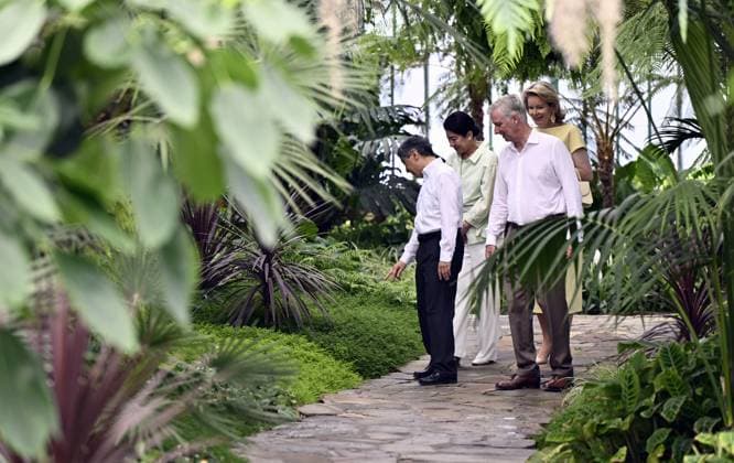 Japanese Emperor Naruhito, Japanese Empress Masako, Queen Mathilde of Belgium and King Philippe - Filip of Belgium pictured during a visit to the Royal Greenhouses and the Japanese Tower in Laken - Laeken, Brussels, during an official state visit of the Japanese Emperor and Empress to Belgium, on Thursday 25 June 2026. The Emperor and Empress of Japan visit Belgium from June 20-25.  ERICxLALMAND 179220088