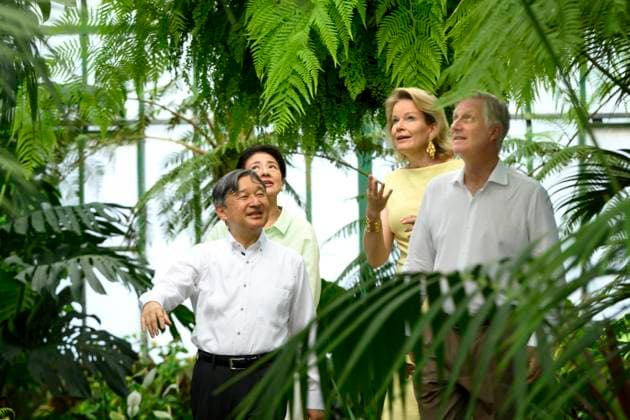 State Visit of the Emperor and the Empress of Japan to Belgium BRUSSELS, BELGIUM - JUNE 25 : Emperor Naruhito of Japan, Empress Masako of Japan, King Philippe - Filip of Belgium and Queen Mathilde of Belgium pictured during a wallk in the Royal Greenhouses of Laeken during the state visit of the Emperor and Empress of Japan to Belgium, on June 25, 2026 in Brussels, Belgium, 25 06 2026 Brussels Belgium  Copyright: xPhilipxReynaersx