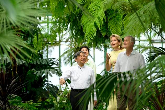 State Visit of the Emperor and the Empress of Japan to Belgium BRUSSELS, BELGIUM - JUNE 25 : Emperor Naruhito of Japan, Empress Masako of Japan, King Philippe - Filip of Belgium and Queen Mathilde of Belgium pictured during a wallk in the Royal Greenhouses of Laeken during the state visit of the Emperor and Empress of Japan to Belgium, on June 25, 2026 in Brussels, Belgium, 25 06 2026 Brussels Belgium  Copyright: xPhilipxReynaersx
