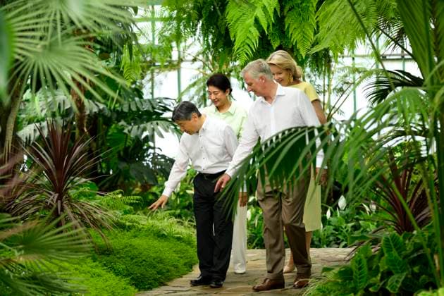 State Visit of the Emperor and the Empress of Japan to Belgium BRUSSELS, BELGIUM - JUNE 25 : Emperor Naruhito of Japan, Empress Masako of Japan, King Philippe - Filip of Belgium and Queen Mathilde of Belgium pictured during a wallk in the Royal Greenhouses of Laeken during the state visit of the Emperor and Empress of Japan to Belgium, on June 25, 2026 in Brussels, Belgium, 25 06 2026 Brussels Belgium  Copyright: xPhilipxReynaersx